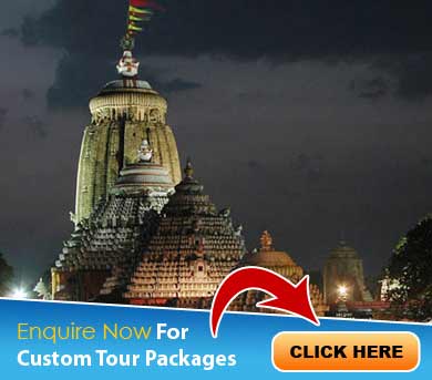 Puri Tour Packages